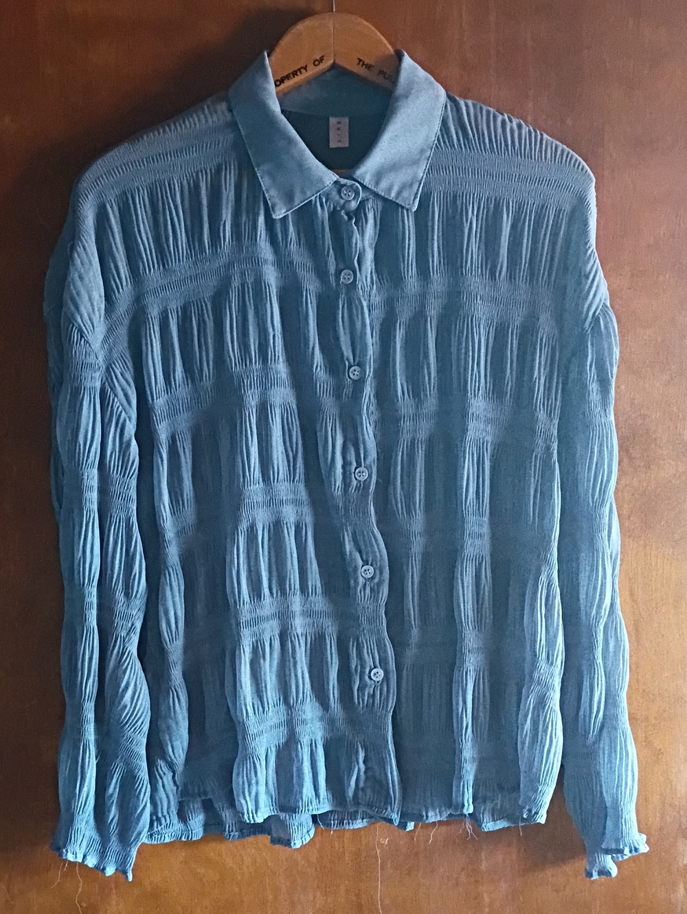 Beautiful Dainty Light Blue Sheer Crinkle Button-Down Shirt - Women's 48 Chest